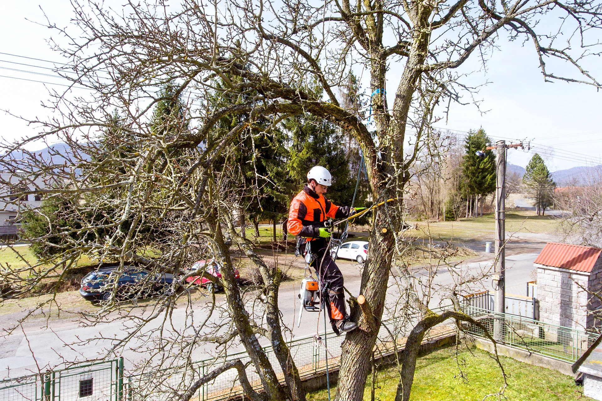 Abattage arbre Pessac 33600 avec les artisans CLIVAZ