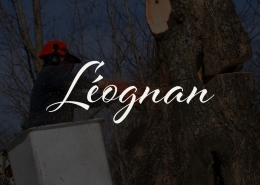 Elagage d'arbre Léognan