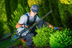 Entretien de jardin Bordeaux Caudéran